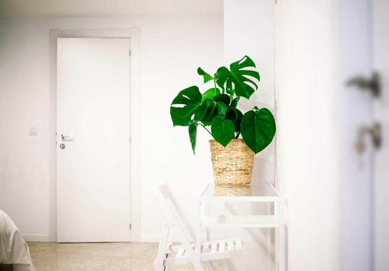 Chambre Quadruple